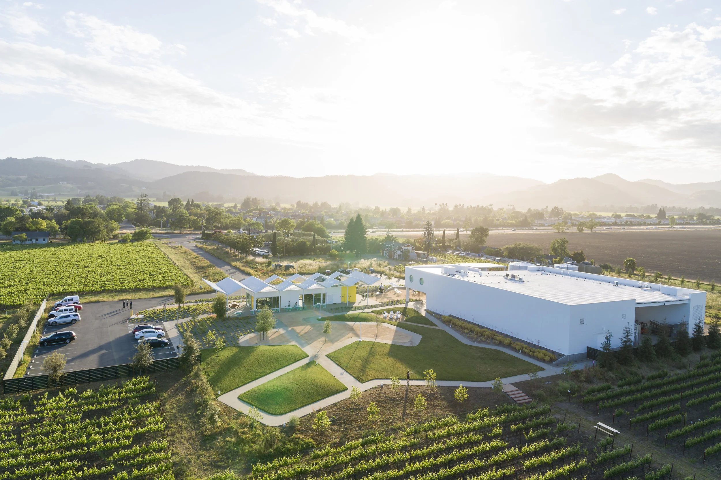 Ashes and diamonds online winery